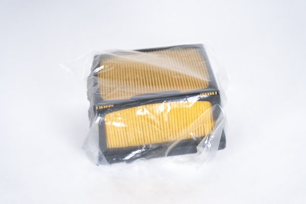 Air Filter Assy, w/cage