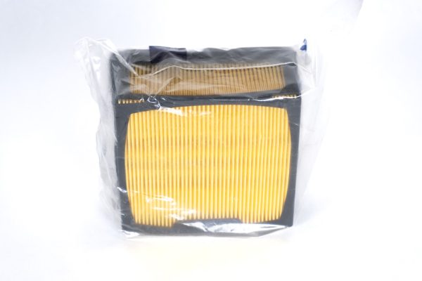 Air Filter Assy, w/cage - Image 2